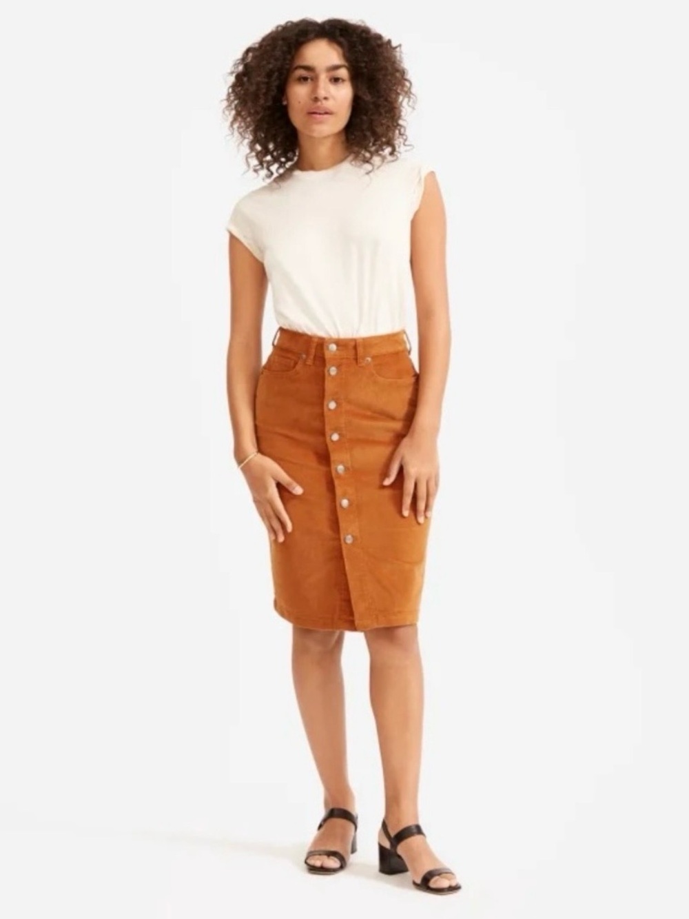 Everlane Brown Corduroy Button Front Midi Skirt Sz 25⁠